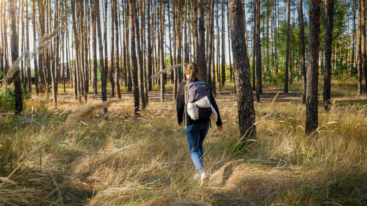 woman hiking alone in the forest