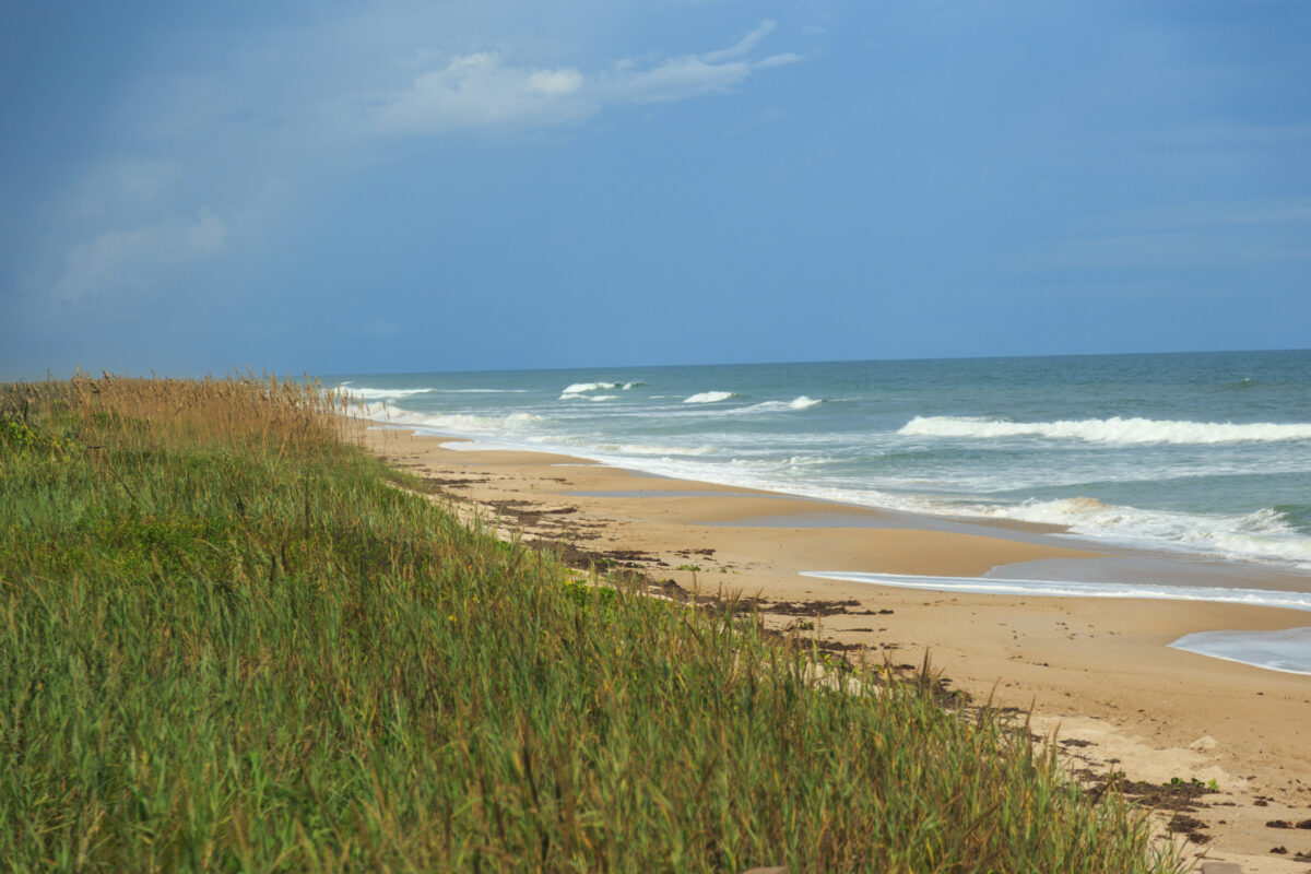 grass and sand overlooking the beach in Canaveral National Seashore, Florida