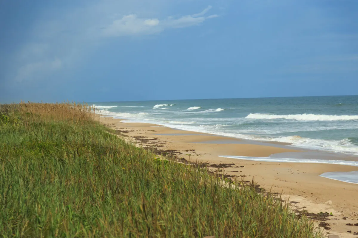 grass and sand overlooking the beach in Canaveral National Seashore, Florida