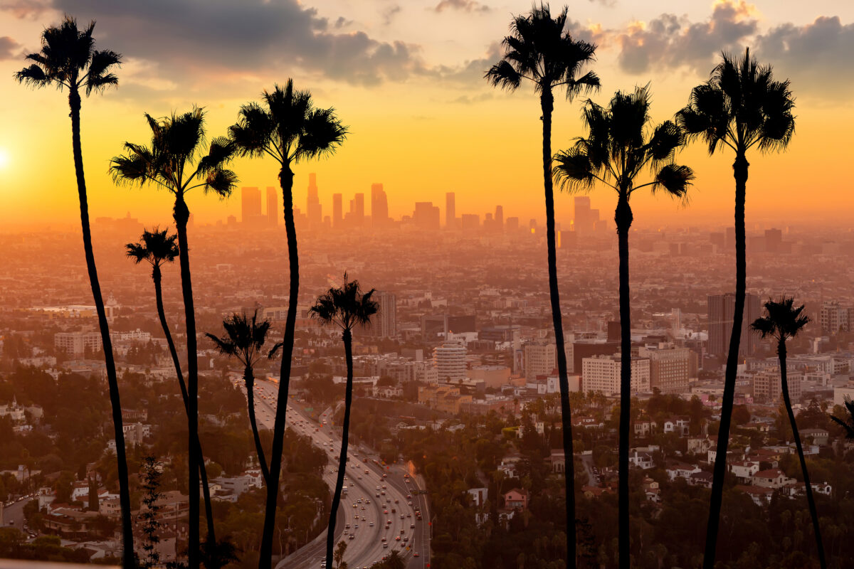 Sunset Skyline view of Los Angeles, California with palm trees in the city scape view