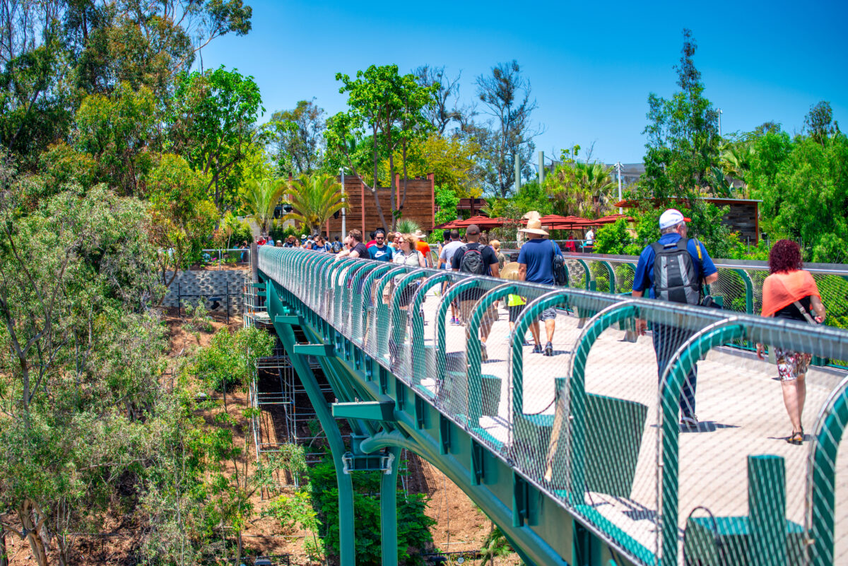 Pedestrians walking over the bridge at the San Diego Zoo