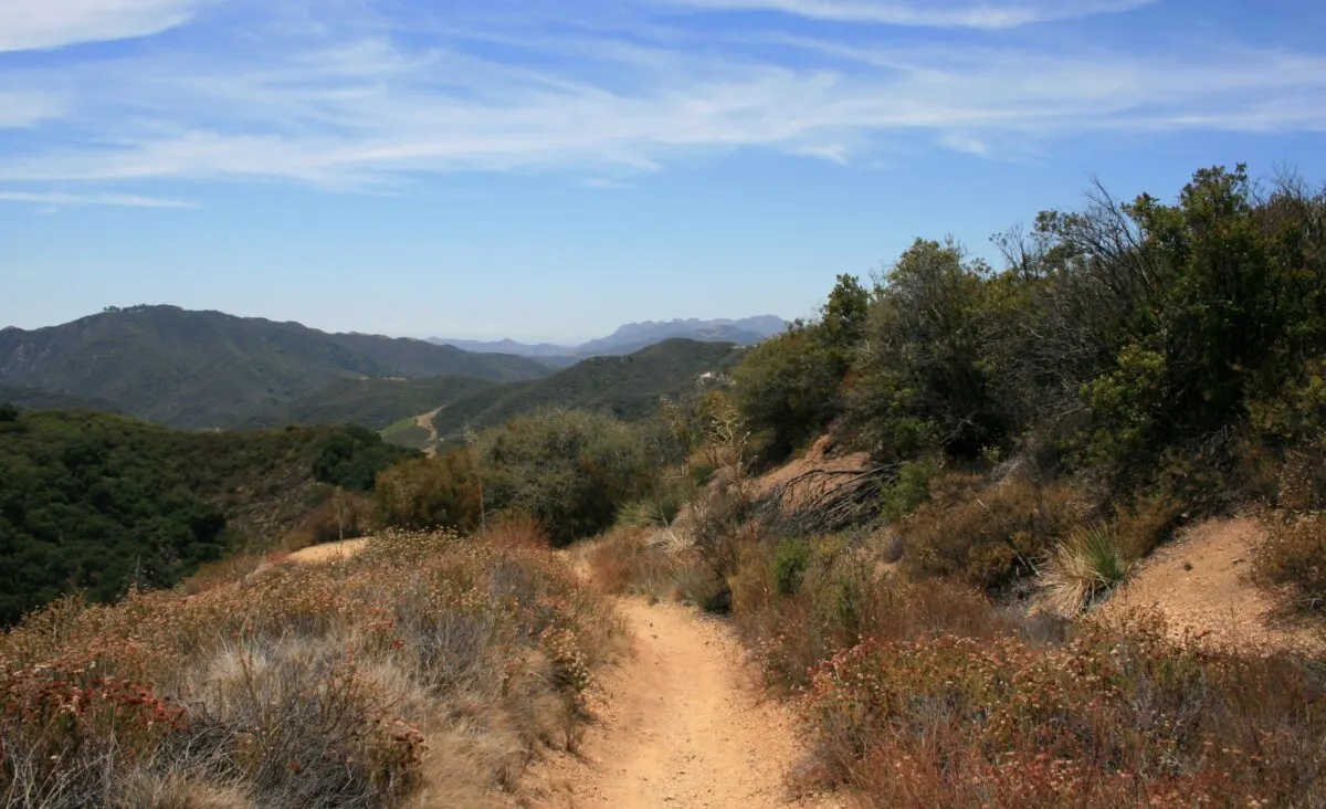 Backbone trail in Malibu California. Dirt trail with shrubs aligning the trail with mountains in the background on a sunny day