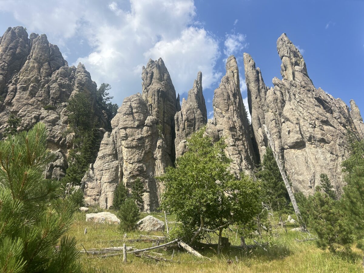 Large jagged rocks on the green landscape at Custer State Park on a a sunny day