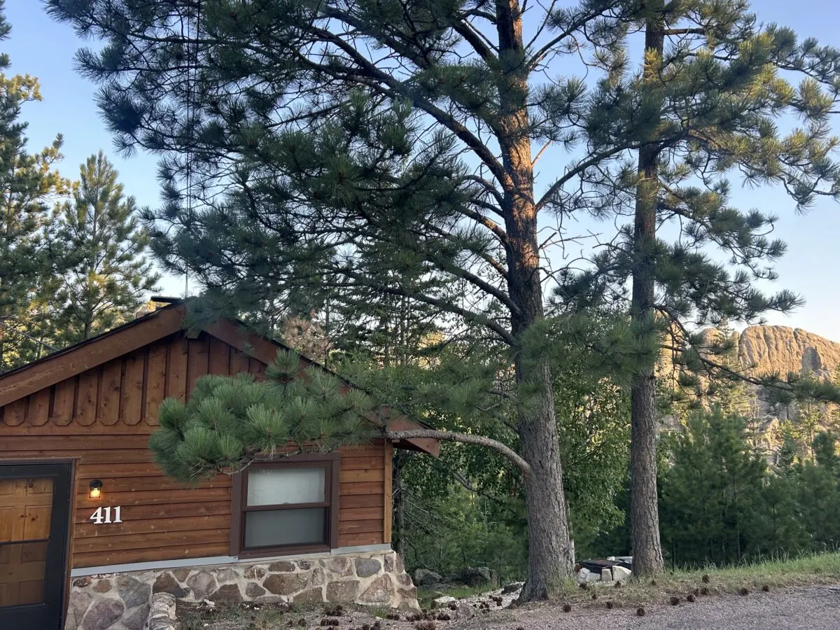 Picture of a cabin at Custer State Park on a sunny day with pine trees out front and mountains in the background