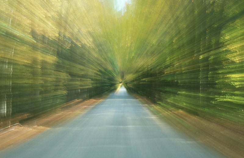 motion blur photo of green trees on a path