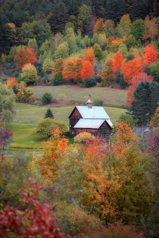 little house in the midst of fall foliage