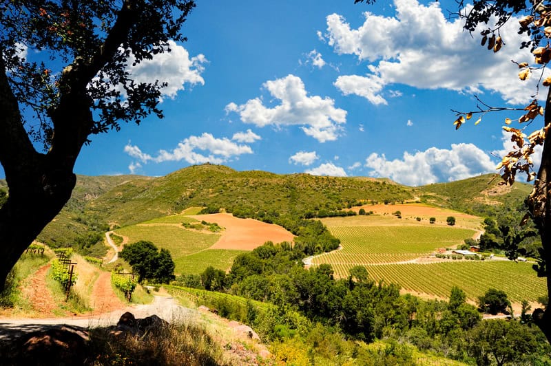 winery and blue sky in Sonoma Valley California