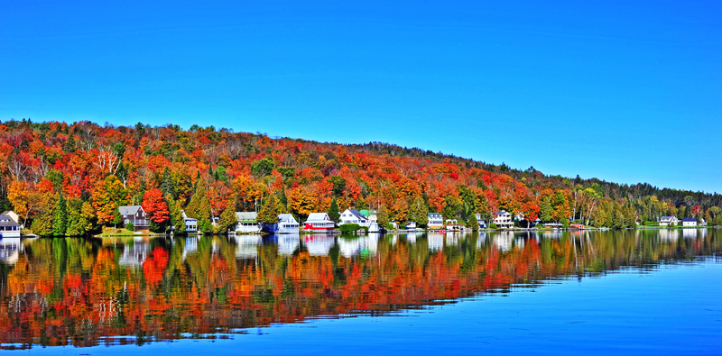 red and green leaved trees overlooking a lake in Vermont