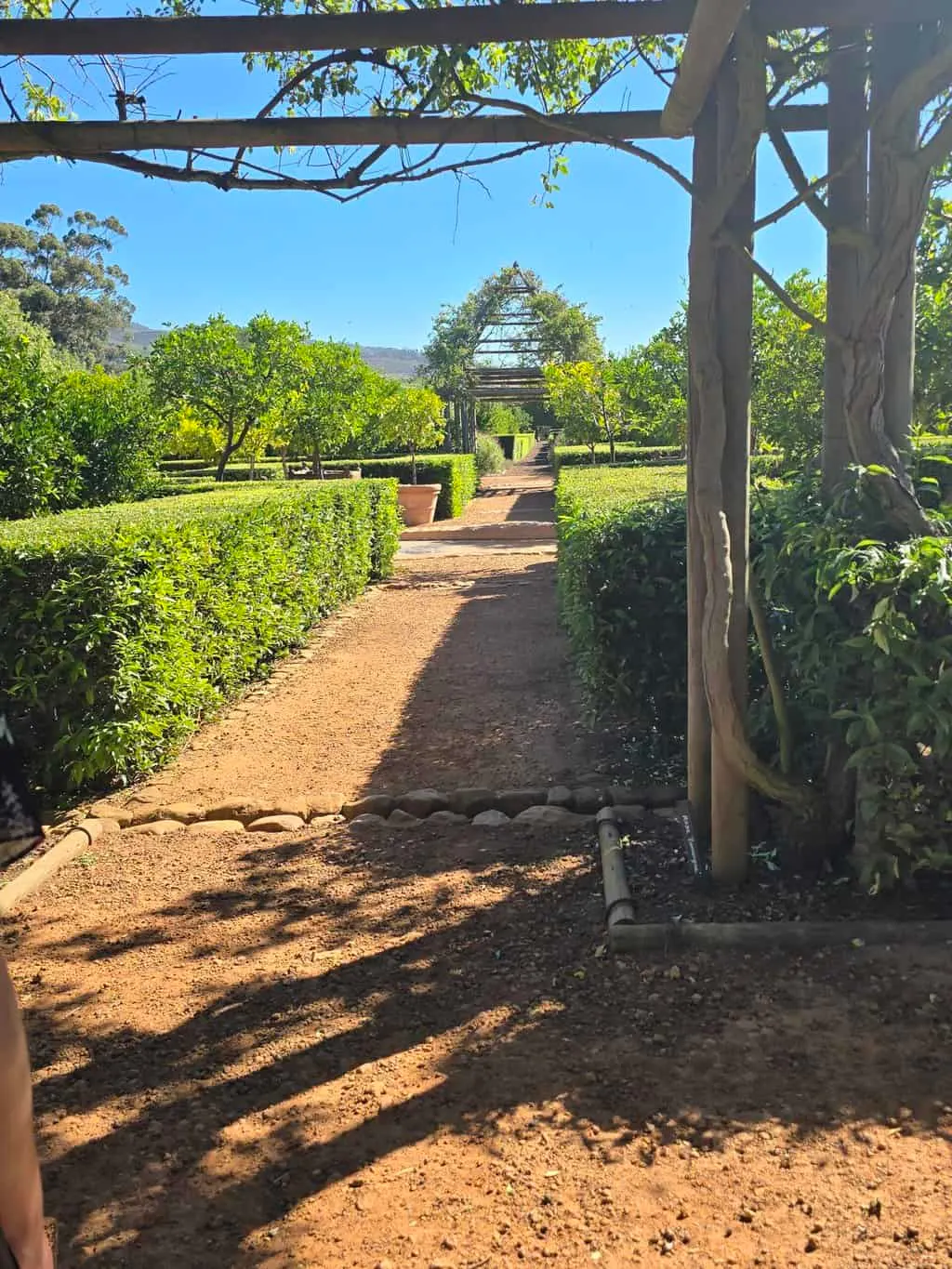 A beautiful path through the formal garden when visiting Babylonstoren