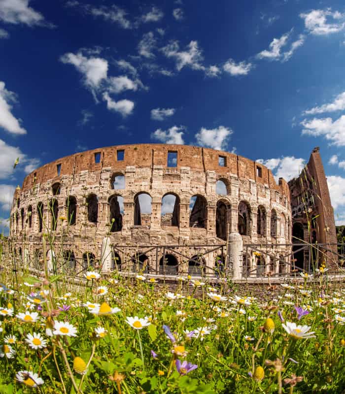 the colosseum in Rome during spring with flowers