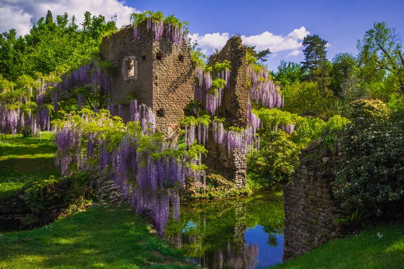 beautiful garden in Rome with purple lilac