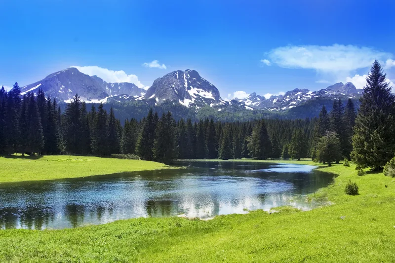 mountains, green grass and large trees in Durmitor National Park Montenegro