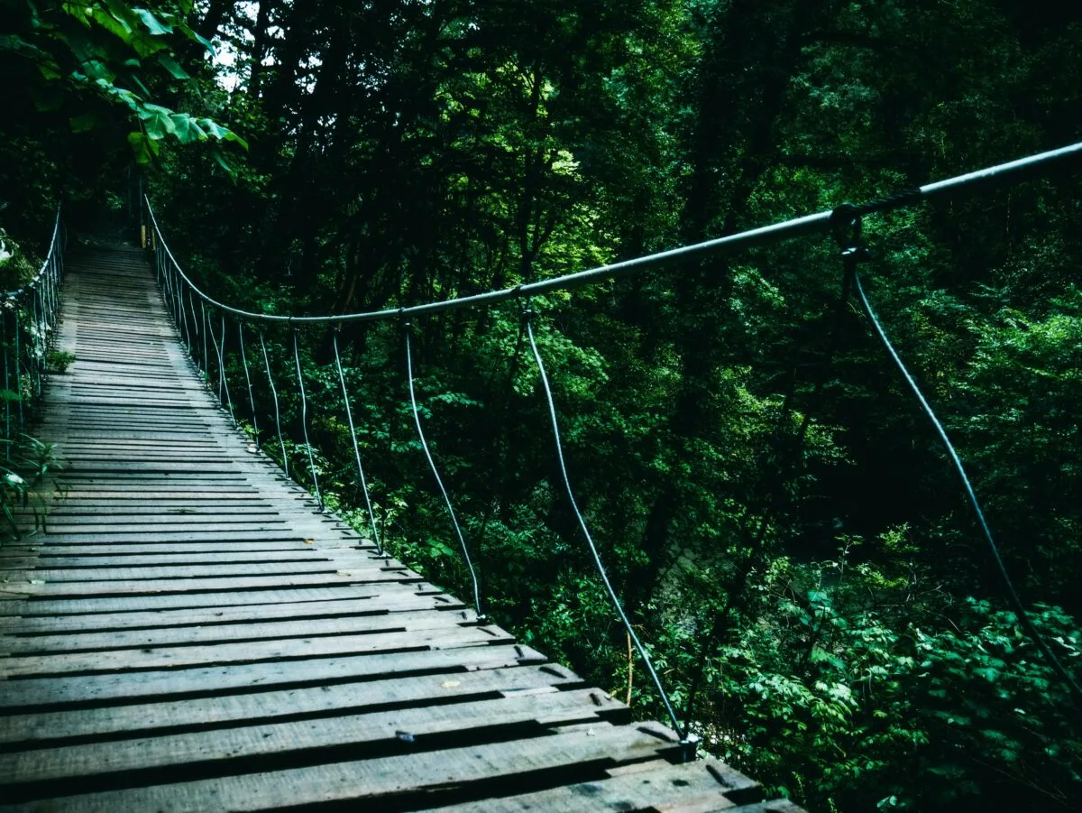 hanging bridge in the jungle