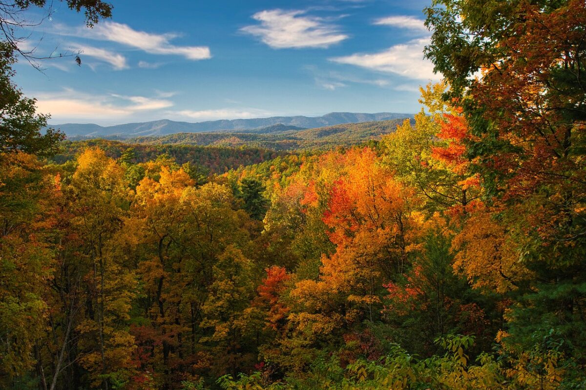 fall foliage red and oranges in mountains