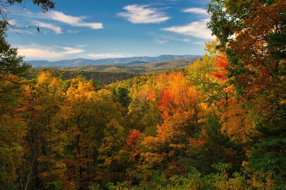 fall foliage red and oranges in mountains