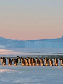 What is it like to live in Antarctica