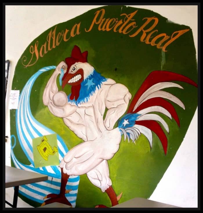 Cockfighting Arena - Vieques Puerto Rico
