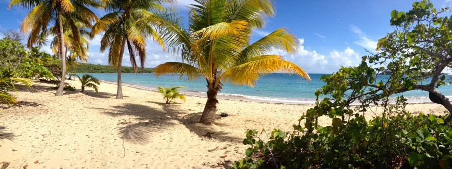 Sun Bay Vieques Island