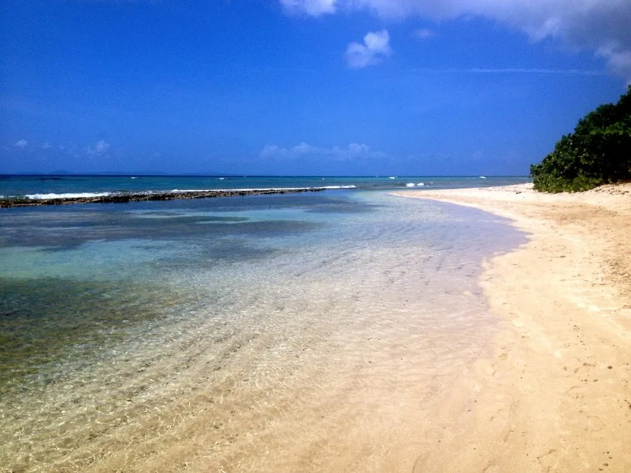 Vieques Island