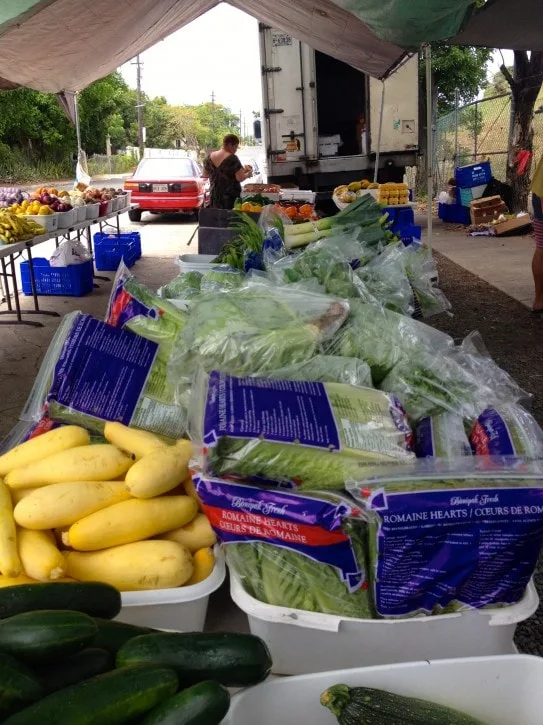 Vieques Farmers Market