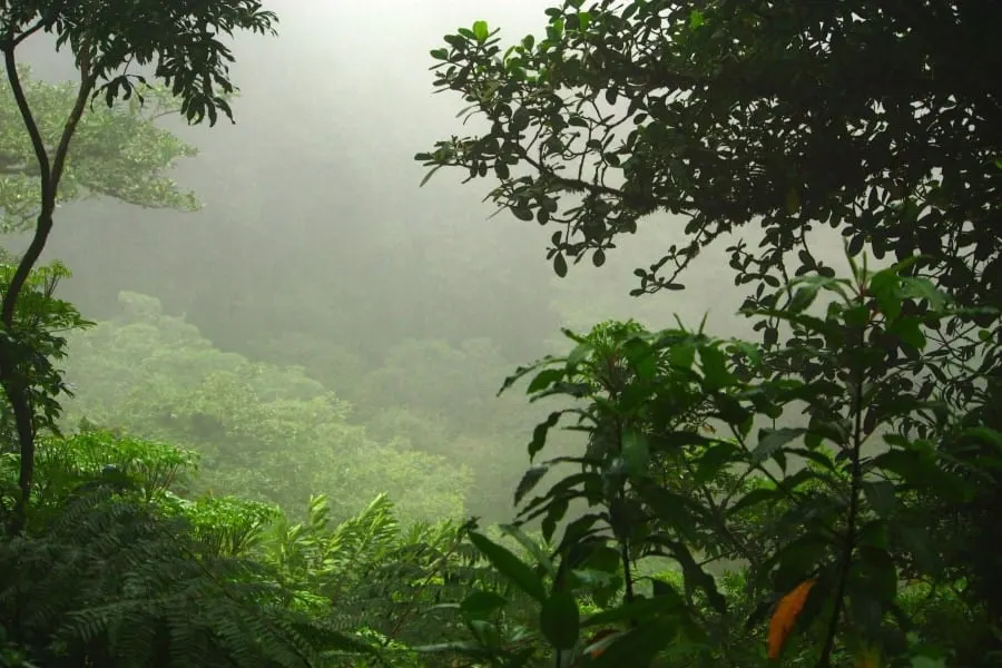 Mombacho Nicaragua